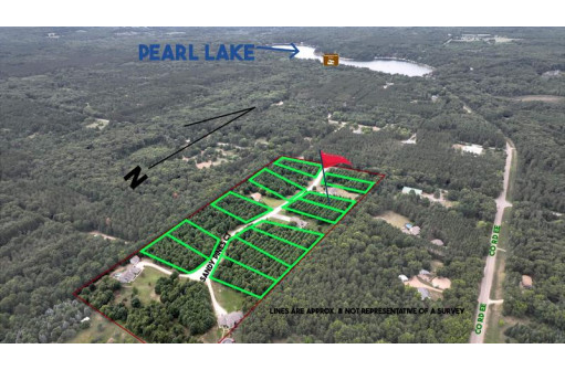 LOT 4&5 Sandy Pines Court, Redgranite, WI 54970