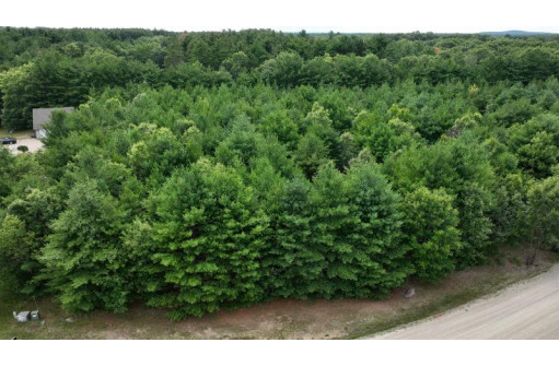 LOT 15 Sandy Pines Court, Redgranite, WI 54970