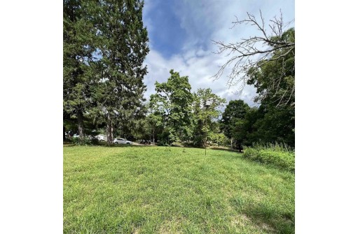 .51 AC W Commerce Street, Mineral Point, WI 53565