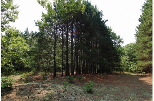 10 ACRES 3rd Lane, Coloma, WI 54930