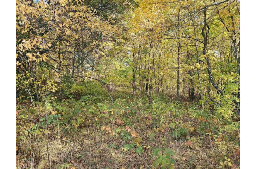 LOT 3 Junction Road, Reedsburg, WI 53959