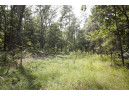 10 AC Deerborn Drive, Friendship, WI 53934