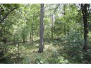 10 AC Deerborn Drive, Friendship, WI 53934