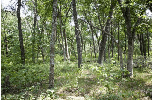 10 AC Deerborn Drive, Friendship, WI 53934