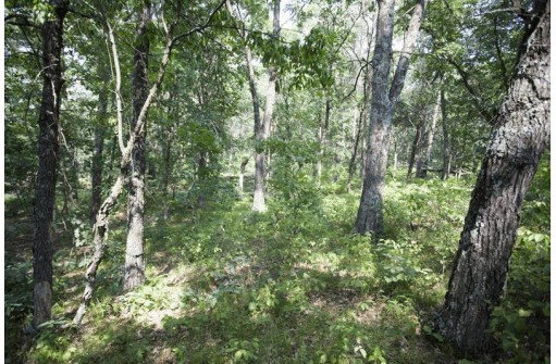 10 AC Deerborn Drive, Friendship, WI 53934