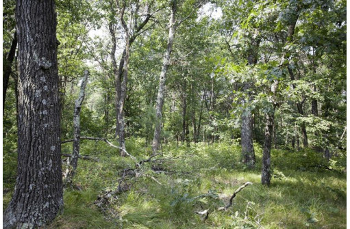 10 AC Deerborn Drive, Friendship, WI 53934