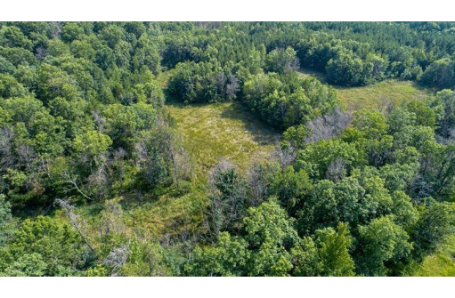 10 AC Deerborn Drive, Friendship, WI 53934