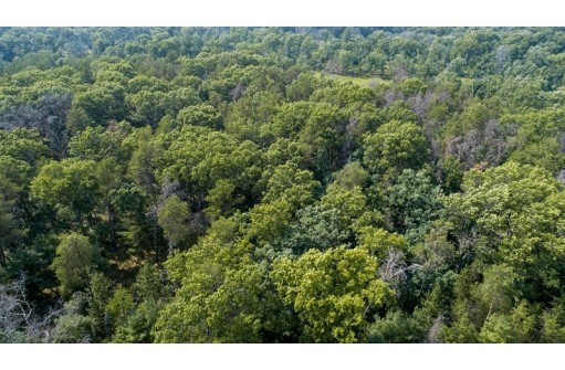 10 AC Deerborn Drive, Friendship, WI 53934