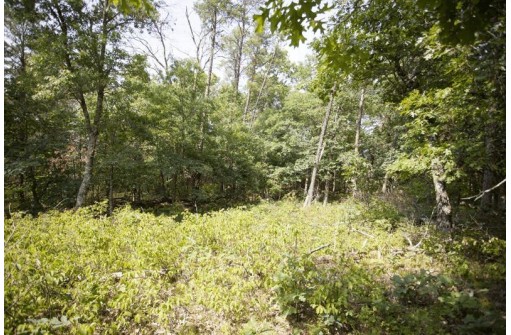 10 AC Deerborn Drive, Friendship, WI 53934