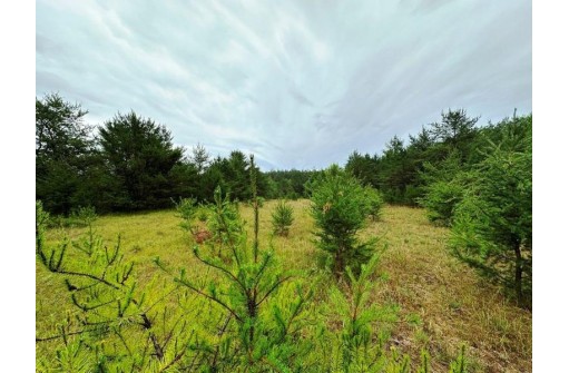 80+/- ACRES Highway 14, Spring Green, WI 53588