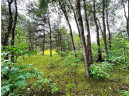 80+/- ACRES Highway 14, Spring Green, WI 53588