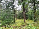 80+/- ACRES Highway 14, Spring Green, WI 53588