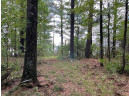 LOT 8 Timber Shores Drive, Arkdale, WI 53910