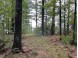 LOT 8 Timber Shores Drive Arkdale, WI 53910