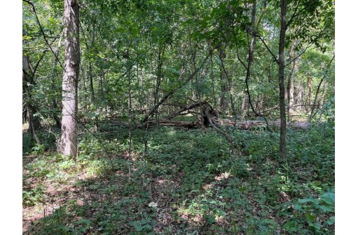 2.4 ACRES Cree Drive, Arkdale, WI 54613