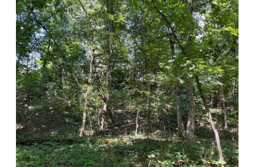 2.4 ACRES Cree Drive, Arkdale, WI 54613