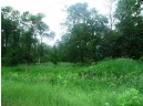 35 ACRES 25th Street, Camp Douglas, WI 54618