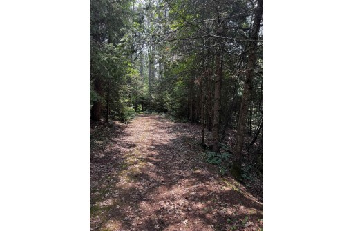 TBD County Road B, Land O Lakes, WI 54540