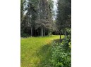 TBD County Road B, Land O Lakes, WI 54540