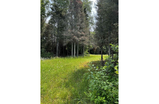 TBD County Road B, Land O Lakes, WI 54540