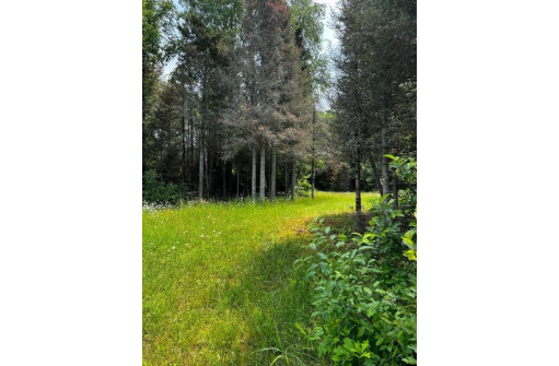 TBD County Road B, Land O Lakes, WI 54540