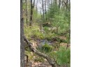 120 ACRES County Road Y, Stevens Point, WI 54481