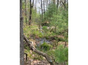 120 ACRES County Road Y Stevens Point, WI 54481