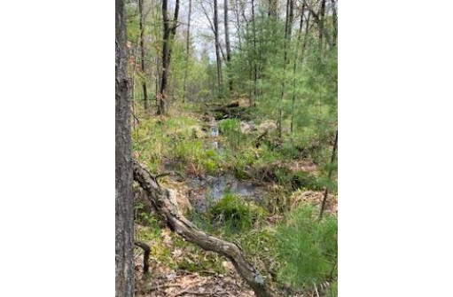 120 ACRES County Road Y, Stevens Point, WI 54481