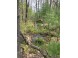 120 ACRES County Road Y Stevens Point, WI 54481