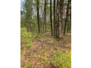 120 ACRES County Road Y, Stevens Point, WI 54481