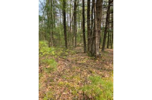 120 ACRES County Road Y, Stevens Point, WI 54481