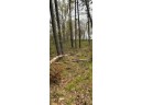 120 ACRES County Road Y, Stevens Point, WI 54481