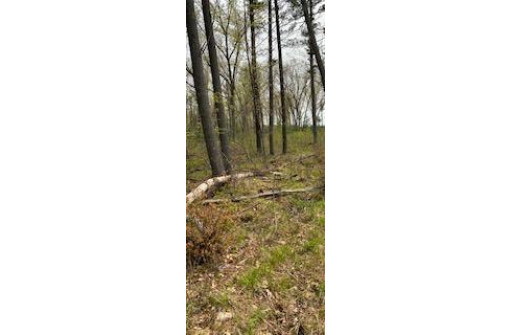 120 ACRES County Road Y, Stevens Point, WI 54481