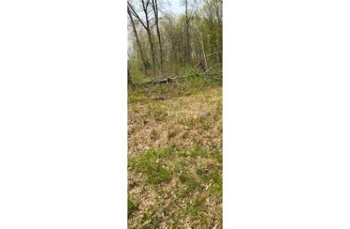 120 ACRES County Road Y, Stevens Point, WI 54481