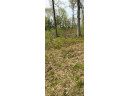 120 ACRES County Road Y, Stevens Point, WI 54481