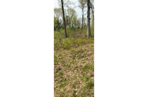 120 ACRES County Road Y, Stevens Point, WI 54481