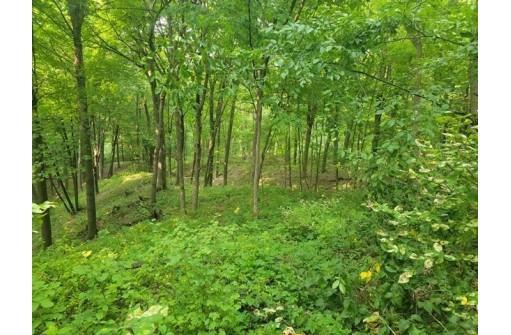 67.31 ACRES County Road W, North Freedom, WI 53951