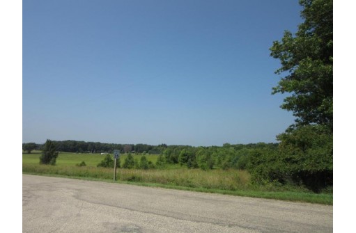 19.29 AC Domes Road, Rio, WI 53960