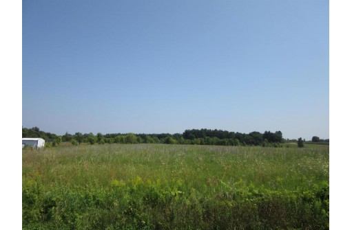 19.29 AC Domes Road, Rio, WI 53960