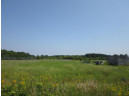 6.44 AC Domes Road, Rio, WI 53960