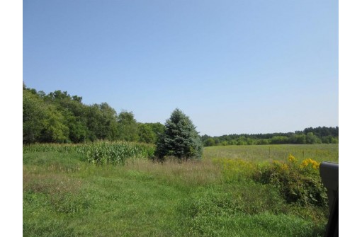 6.44 AC Domes Road, Rio, WI 53960