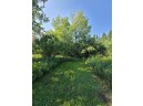 41.9 ACRES Bornick Road, Portage, WI 53901