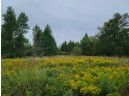 41.9 ACRES Bornick Road, Portage, WI 53901