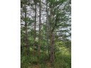 41.9 ACRES Bornick Road, Portage, WI 53901