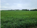 41.9 ACRES Bornick Road, Portage, WI 53901