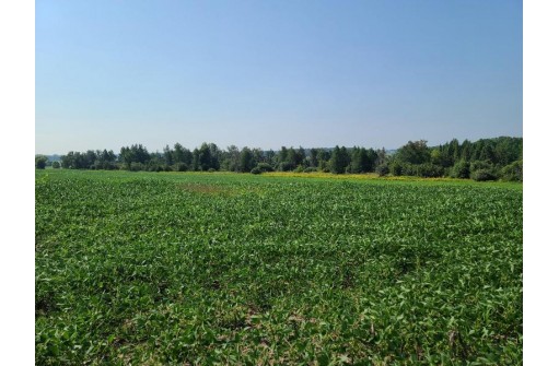 41.9 ACRES Bornick Road, Portage, WI 53901