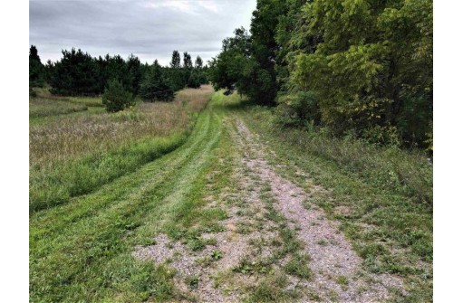 41.9 ACRES Bornick Road, Portage, WI 53901