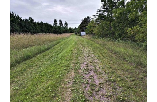 41.9 ACRES Bornick Road, Portage, WI 53901