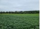 41.9 ACRES Bornick Road Portage, WI 53901