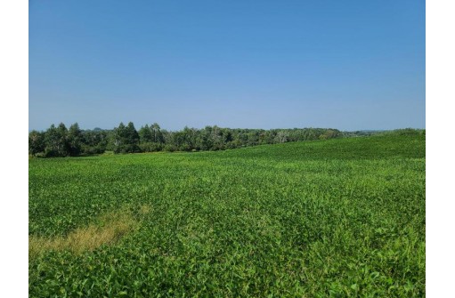 41.9 ACRES Bornick Road, Portage, WI 53901